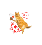 猫のしずくスタンプ。②（個別スタンプ：18）