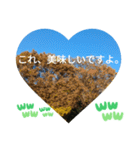 これあなたにピッタリだと思ったの日常挨拶（個別スタンプ：5）