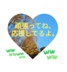 これあなたにピッタリだと思ったの日常挨拶（個別スタンプ：30）