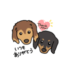キノコ犬の日常（個別スタンプ：19）