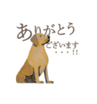 犬と猫の使える敬語スタンプ（個別スタンプ：1）