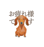 犬と猫の使える敬語スタンプ（個別スタンプ：5）