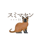 犬と猫の使える敬語スタンプ（個別スタンプ：10）