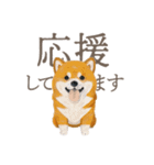 犬と猫の使える敬語スタンプ（個別スタンプ：27）