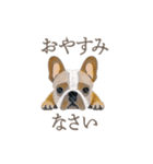 犬と猫の使える敬語スタンプ（個別スタンプ：32）