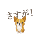 犬と猫の使える敬語スタンプ（個別スタンプ：36）