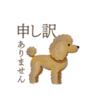 犬と猫の使える敬語スタンプ（個別スタンプ：39）