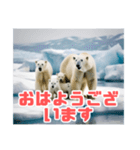 リアル☆温暖化に耐える白熊の親子（個別スタンプ：1）