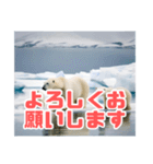 リアル☆温暖化に耐える白熊の親子（個別スタンプ：6）