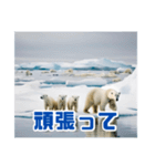 リアル☆温暖化に耐える白熊の親子（個別スタンプ：12）