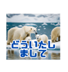 リアル☆温暖化に耐える白熊の親子（個別スタンプ：13）