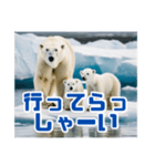 リアル☆温暖化に耐える白熊の親子（個別スタンプ：23）