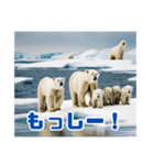 リアル☆温暖化に耐える白熊の親子（個別スタンプ：39）