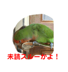 コザクラインコのうめちゃん4（個別スタンプ：7）