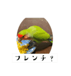 コザクラインコのうめちゃん4（個別スタンプ：18）