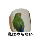 コザクラインコのうめちゃん4（個別スタンプ：32）