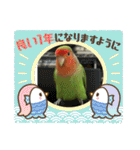 コザクラインコのうめちゃん4（個別スタンプ：40）