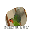 コザクラインコのうめちゃん3−1（個別スタンプ：28）