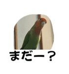 コザクラインコのうめちゃん3−1（個別スタンプ：39）