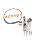 豆次郎スタンプver.2（個別スタンプ：2）