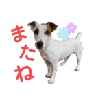 豆次郎スタンプver.2（個別スタンプ：3）
