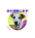 豆次郎スタンプver.2（個別スタンプ：7）