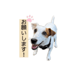 豆次郎スタンプver.2（個別スタンプ：9）