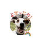 豆次郎スタンプver.2（個別スタンプ：12）