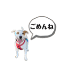 豆次郎スタンプver.2（個別スタンプ：16）