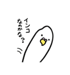 おこめインコ（個別スタンプ：3）
