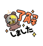 セキセイインコぴーちゃん（個別スタンプ：12）