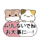 毎日五月病なパンダとねこたち（個別スタンプ：19）