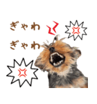 ちまきスタンプ2byKumicco（個別スタンプ：1）