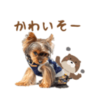 ちまきスタンプ2byKumicco（個別スタンプ：2）