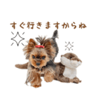 ちまきスタンプ2byKumicco（個別スタンプ：4）
