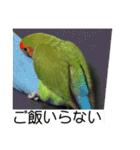 コザクラインコのうめちゃん5（個別スタンプ：14）