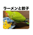 コザクラインコのうめちゃん5（個別スタンプ：16）