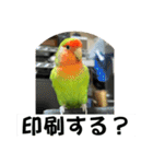 コザクラインコのうめちゃん5（個別スタンプ：32）