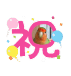 コザクラインコのうめちゃん5（個別スタンプ：39）