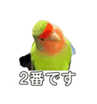 コザクラインコのうめちゃん3（個別スタンプ：3）