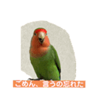 コザクラインコのうめちゃん3（個別スタンプ：8）