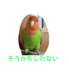 コザクラインコのうめちゃん3（個別スタンプ：14）