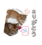 子猫のレクとサス（個別スタンプ：7）