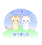 ちびにゃんこ11【夏】（個別スタンプ：3）