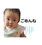 白杉中vol. 1（個別スタンプ：31）