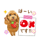 かわいい犬たち❤️モグいちご❤️プードル（個別スタンプ：2）