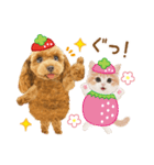 かわいい犬たち❤️モグいちご❤️プードル（個別スタンプ：5）