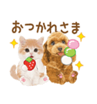 かわいい犬たち❤️モグいちご❤️プードル（個別スタンプ：8）