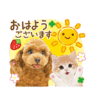 かわいい犬たち❤️モグいちご❤️プードル（個別スタンプ：15）