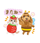 かわいい犬たち❤️モグいちご❤️プードル（個別スタンプ：24）